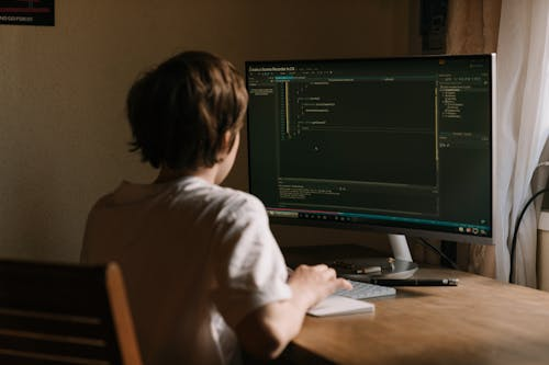 remote Software Developers remote Software Developers